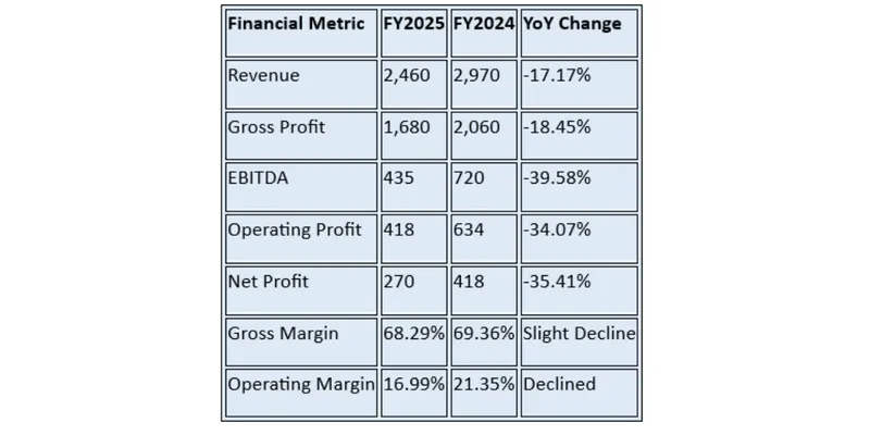 Financial Summary Table